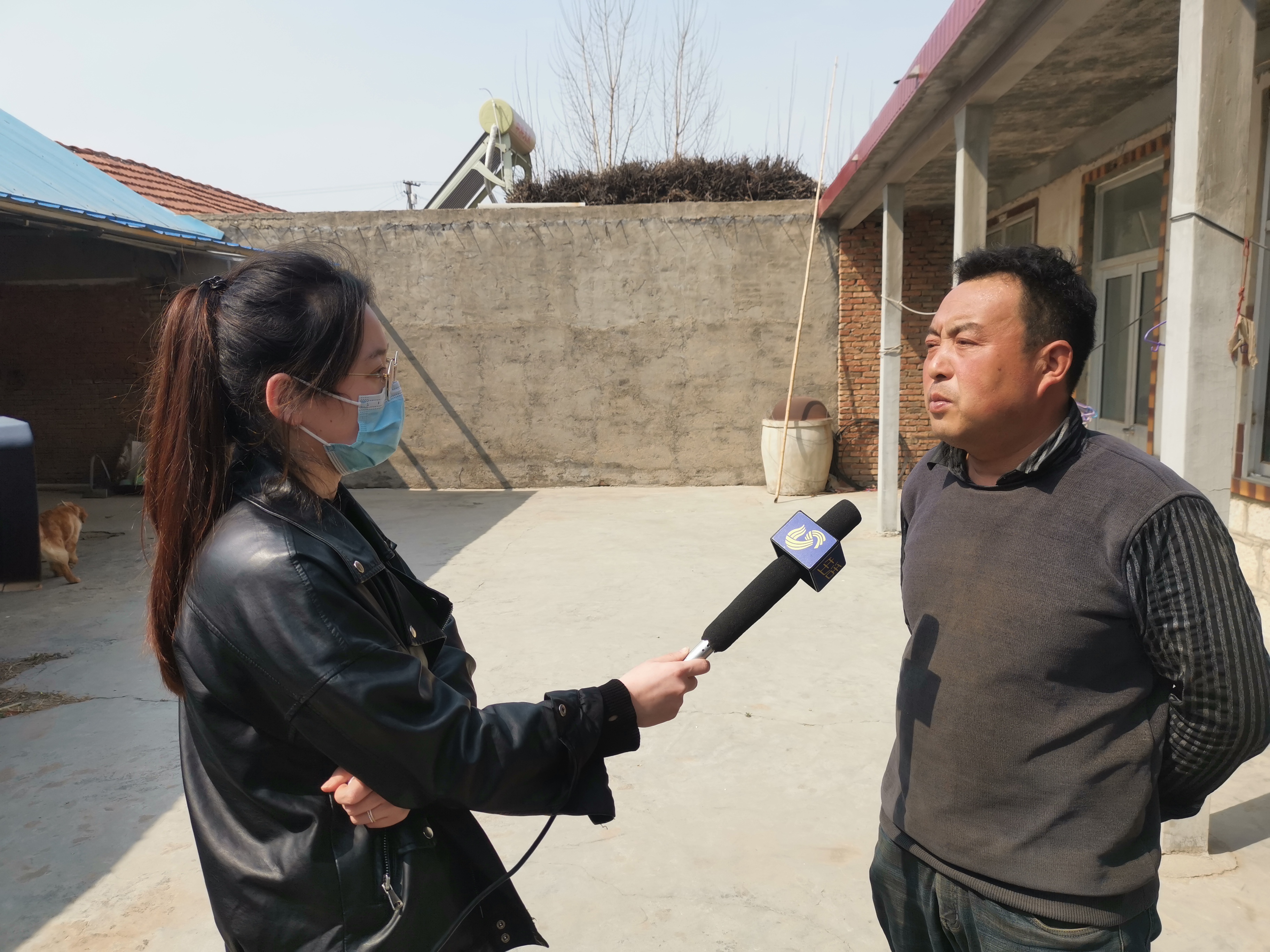 第209所 平度市崔家集镇状元府1XBET官网刘丽新小学