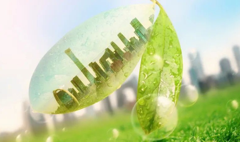 赢博手机站·官方版在线这款产品，获国内首个碳中和保健食品认证！