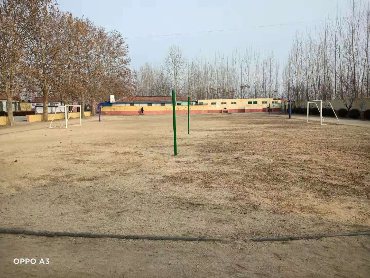第209所 平度市崔家集镇状元府1XBET官网刘丽新小学