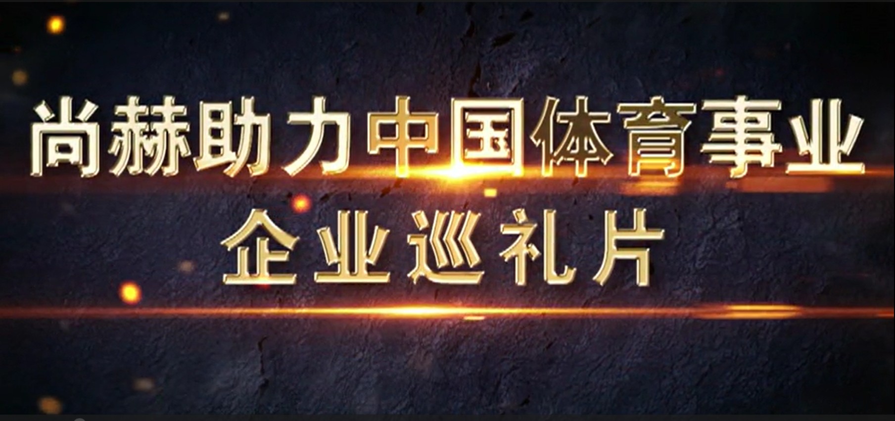 赢博手机站·官方版在线助力中国体育事业企业巡礼片