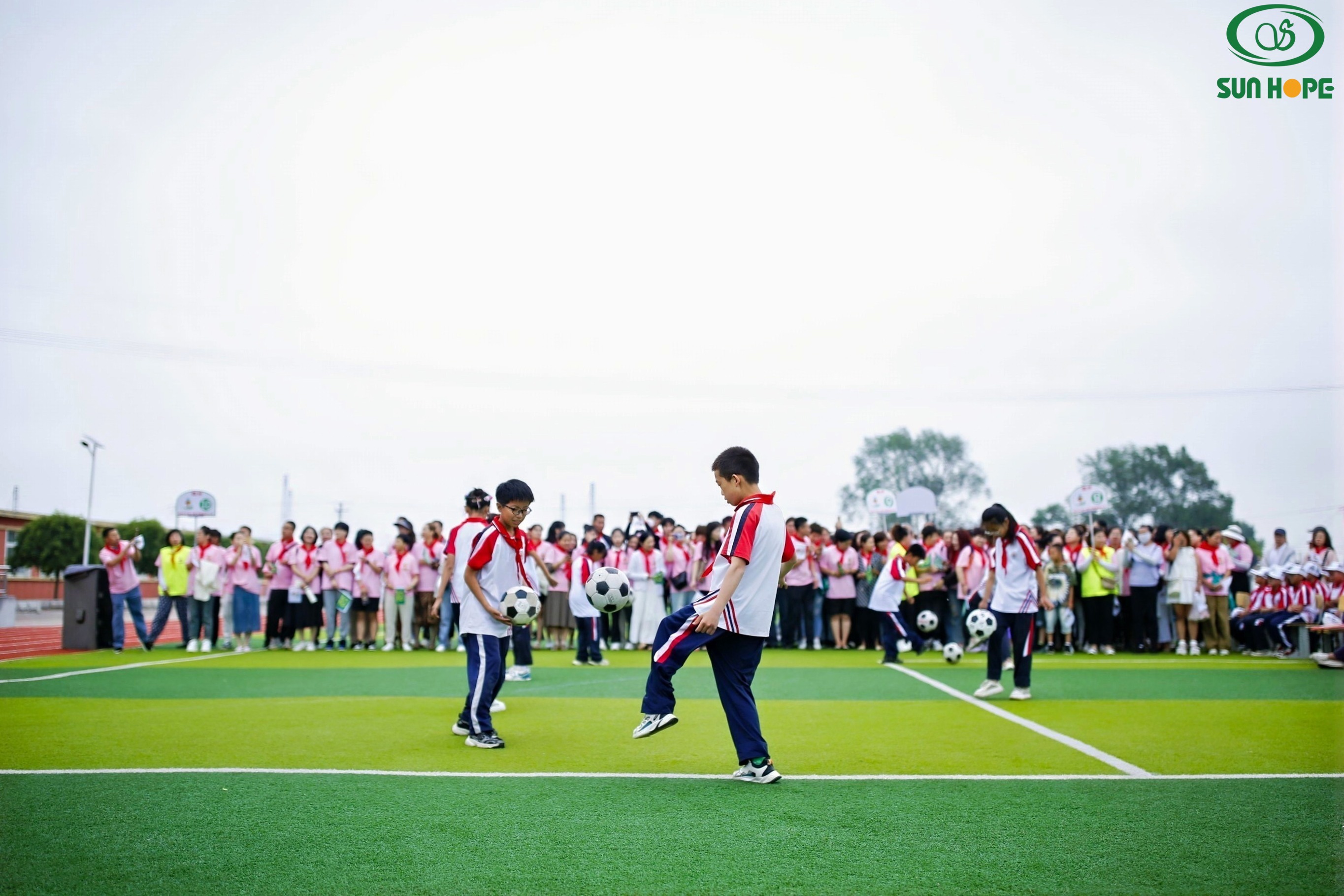 第252所 辽宁省锦州市义县七里河镇中心苗阳学校 第252所 辽宁省锦州市义县七里河镇中心苗阳学校