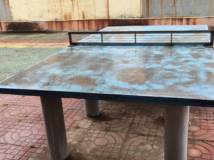 第242所 山东省新泰市果都镇1XBET官网王茹小学